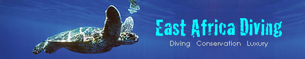 East Africa Diving - Kenya, Mozambique, Tanzania, Zanzibar